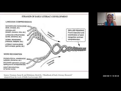 Gillis - Grammar and Syntax: The Building Blocks of Comprehending and ...
