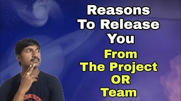 What are The Reasons to Release You a Member from The Project In IT industry