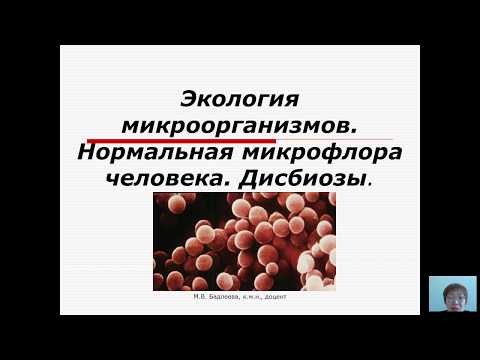 Общая микробиология (Бадлеева М.В.) - 5 лекция