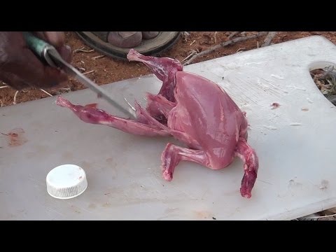 Quail (Kaadai)cleaning and cooking in nature stove / STREET FOODS / VILLAGE FOOD FACTORY