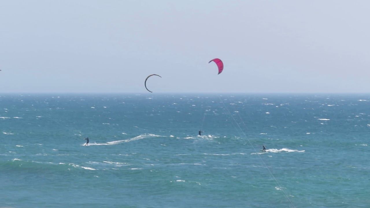 rat snakes in alabama Brian Gundy Watching Kite Surfers Just North Of Santa Cruz California
