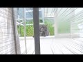 【衝撃映像】家に侵入してきた野良猫を目撃した愛猫がとんでもない行動に!!