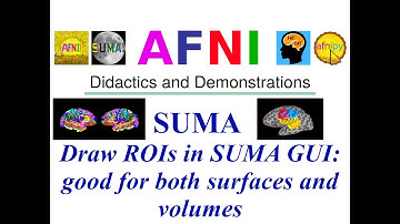 [AFNI Academy] Draw ROIs in SUMA GUI: good for both surfaces and volumes