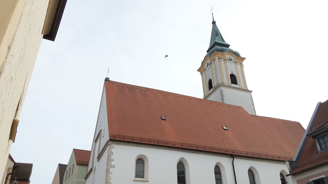 Abensberg (KEH)  Stadtpfarrkirche Sankt Barbara. Plenum.