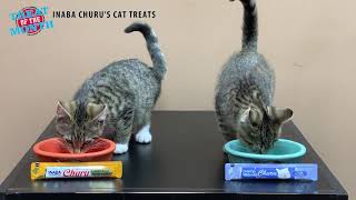 inaba churu cat treats review