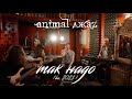 Animal ДжаZ — Так надо (Акустика, Live, 2021)