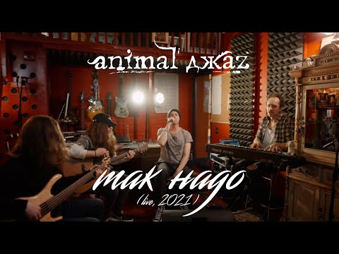 Animal ДжаZ - Так надо