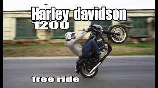 видео: harley davidson sportster 1200 обзор картинка: harley davidson sportster 1200 обзор