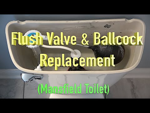 Flush Valve &