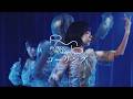ponderosa may bloom - Calling (Live MV)