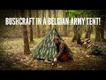 48 hours offgrid bushcraft camping in a belgian army tent guy lineless tarp setup