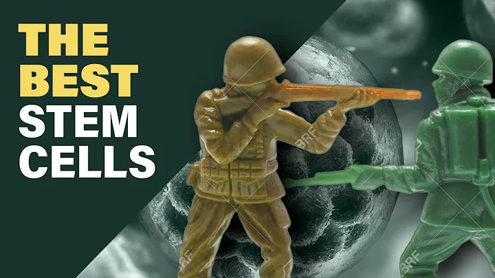 What Can Stem Cells Do (WHICH ONES ARE THE BEST)