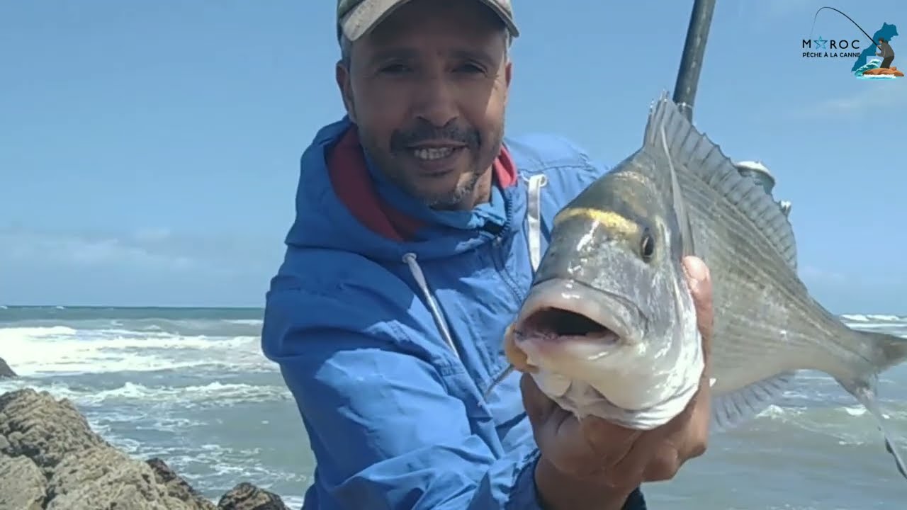 Pêche Au Maroc2022:شرح مفصل حول طعم البزطيط(كتومة)بحر هائج وسمكة زريقة كانت في الموعد#المصيد المناسب