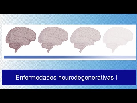 Vídeo: Comprensión Leve Del Deterioro Cognitivo: Un Estudio Empírico Por Enfoque Basado En Datos