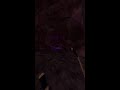 Meta Quest Broadcast | Powered by LIV