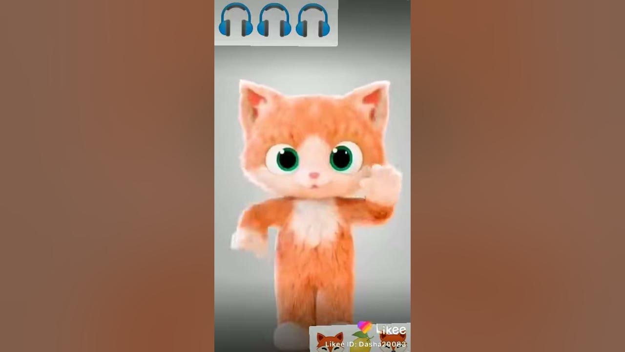 Танцующий котик - YouTube