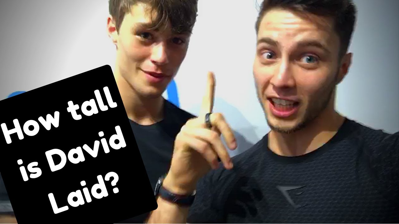 Gymshark London | How Tall Is David Laid?