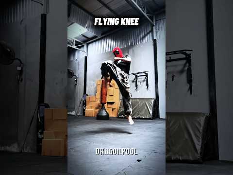 Flying knee #tutorial #shortsvideo #shortvideo #shorts #youtubeshorts #usa #india #short #ytshorts