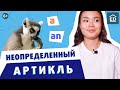 Неопределенный артикль A/AN | Артикли в английском языке | Грамматика английского языка | EnglishDom