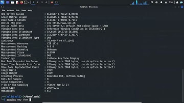 Cracking the Code: picoCTF Forensics - Glory of the Garden Walkthrough (Beginner Friendly)