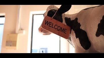 THE DREGGS - GIVE MYSELF TO YOU (Music Video)