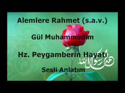 Hz. Peygamberin Hayatı (Sesli) - 7.Veda Hutbesi