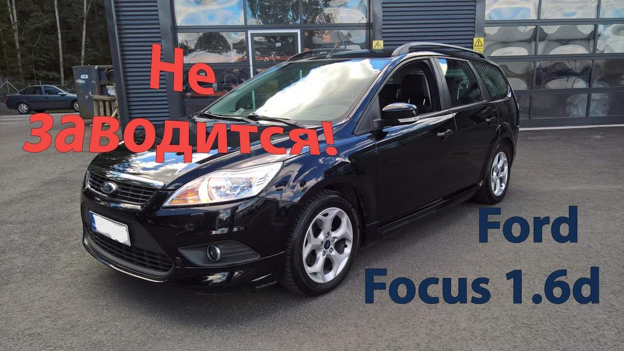 Не заводится! Нет сигнала ДПКВ, но он исправен - Ford Focus 1.6d - YouTube