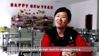 Full China pig farms go high tech for self sufficiency News