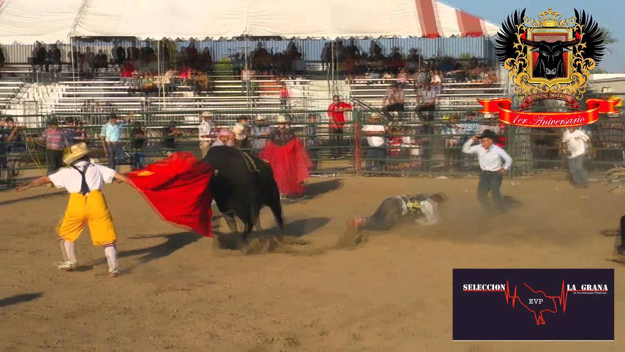 1er Aniversario de Rancho Imperial !!! YouTube