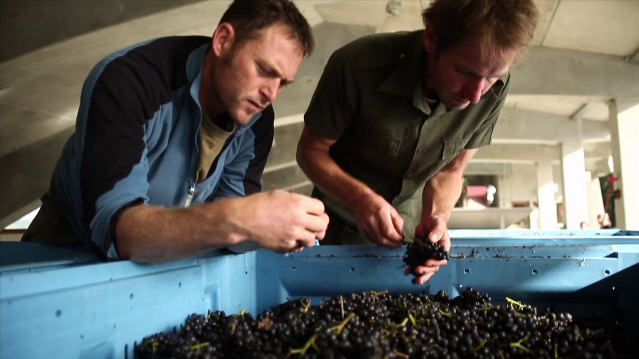 NZWG Sustainability 2014 Vid 1 Chinese subs