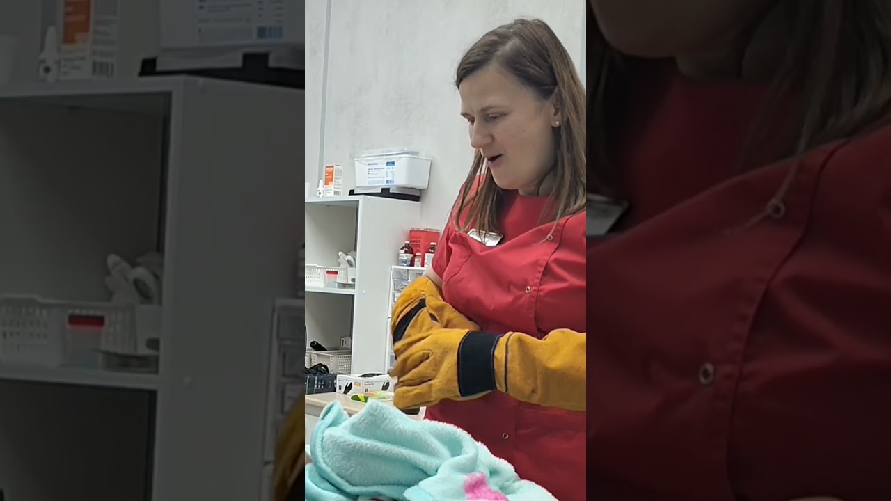 Злые в хорошем смысле/профессиональном😌 Ассистента жалко, да😅 