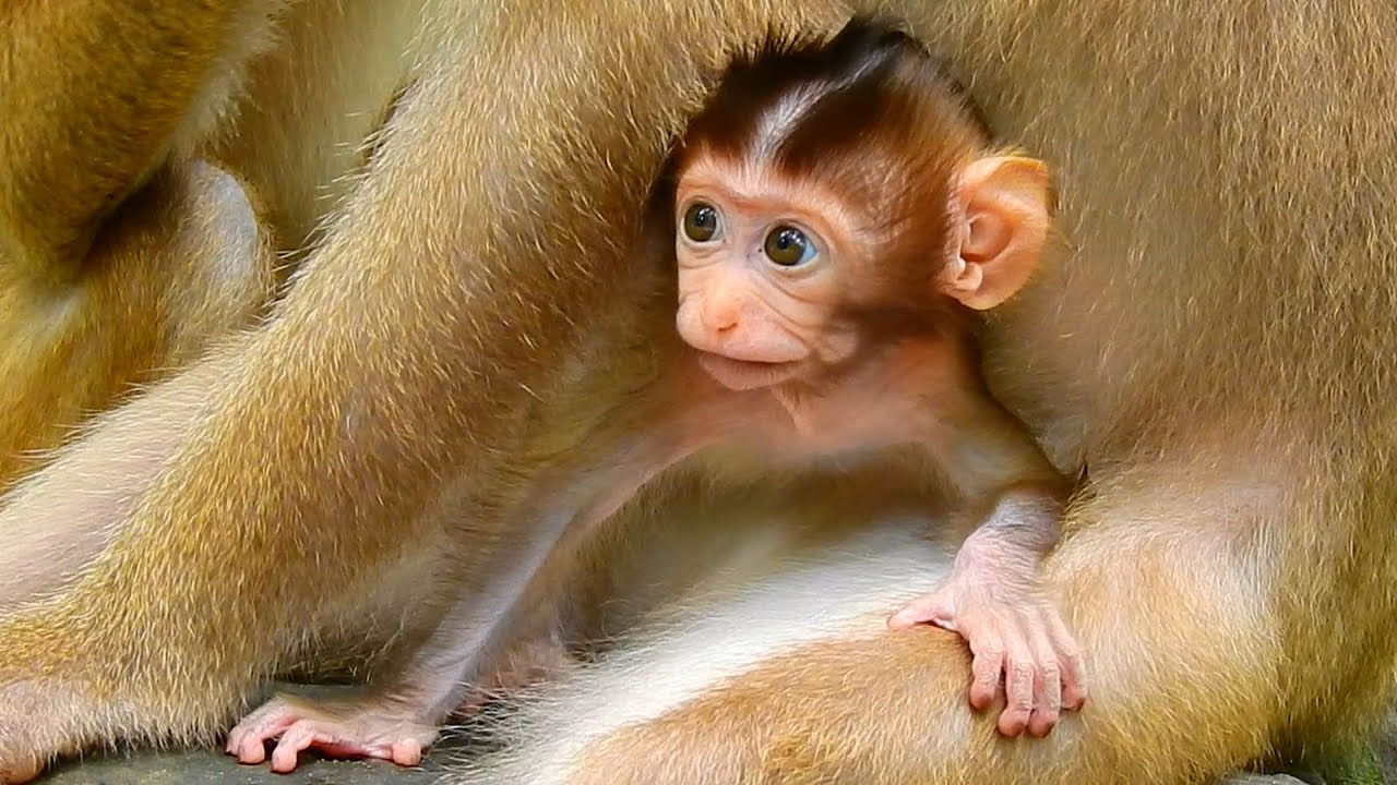 Rainbow very strong & confident when living mummy Libby!