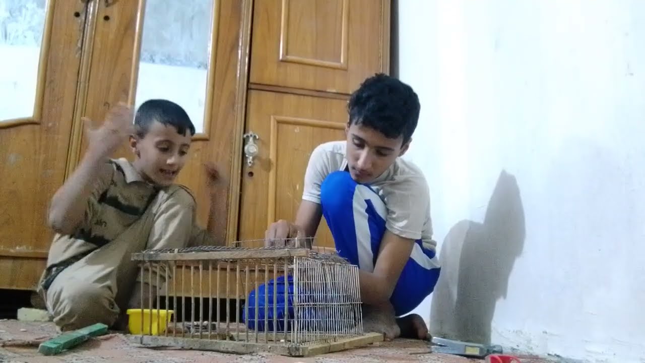 شباب شوفو شلون نسوي قفص البلابل🐦‍⬛