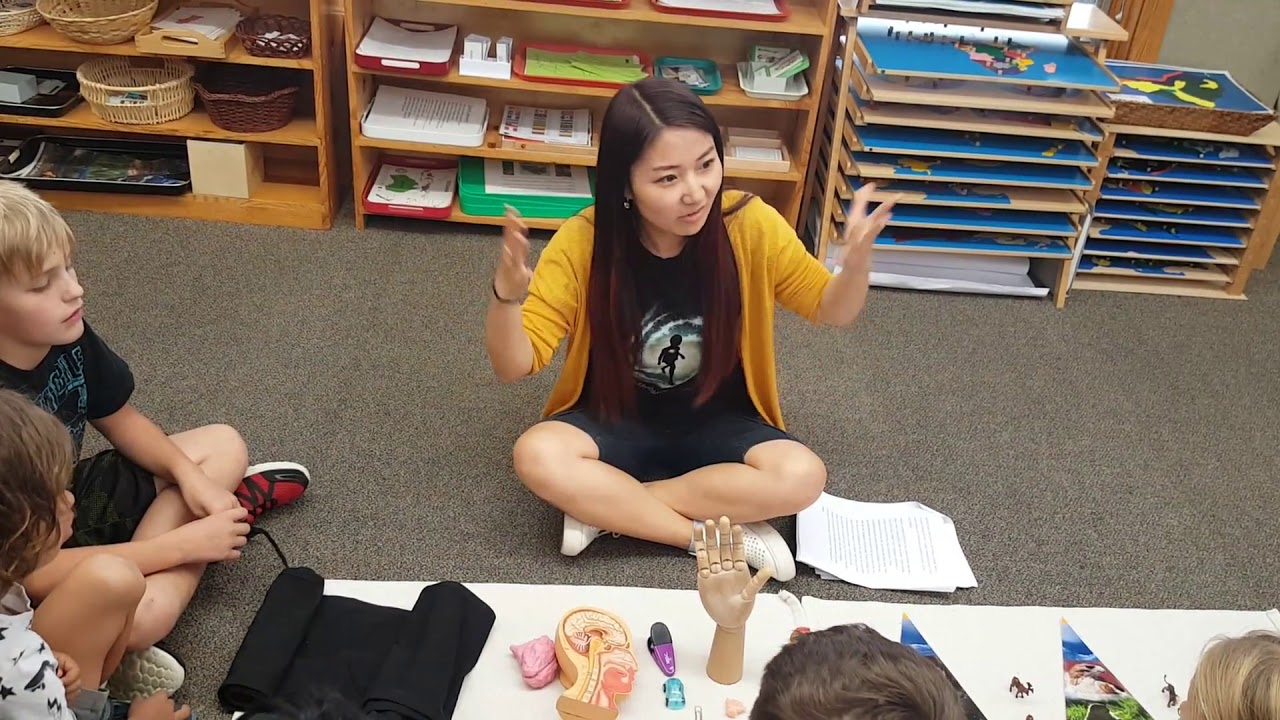 Montessori Third Great Lesson-The Coming of Human Beings