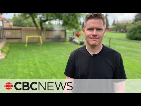 Video: Microclover Information: How To Grow A Microclover Lawn