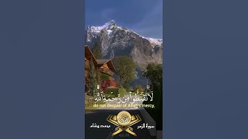 لا تقنطوا من رحمة الله.. تلاوة خاشعة للقارئ محمد هشام من سورة الزمر