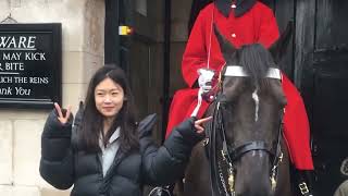 Lady Please Dont Poke Into Royal Guard Horse Eyes