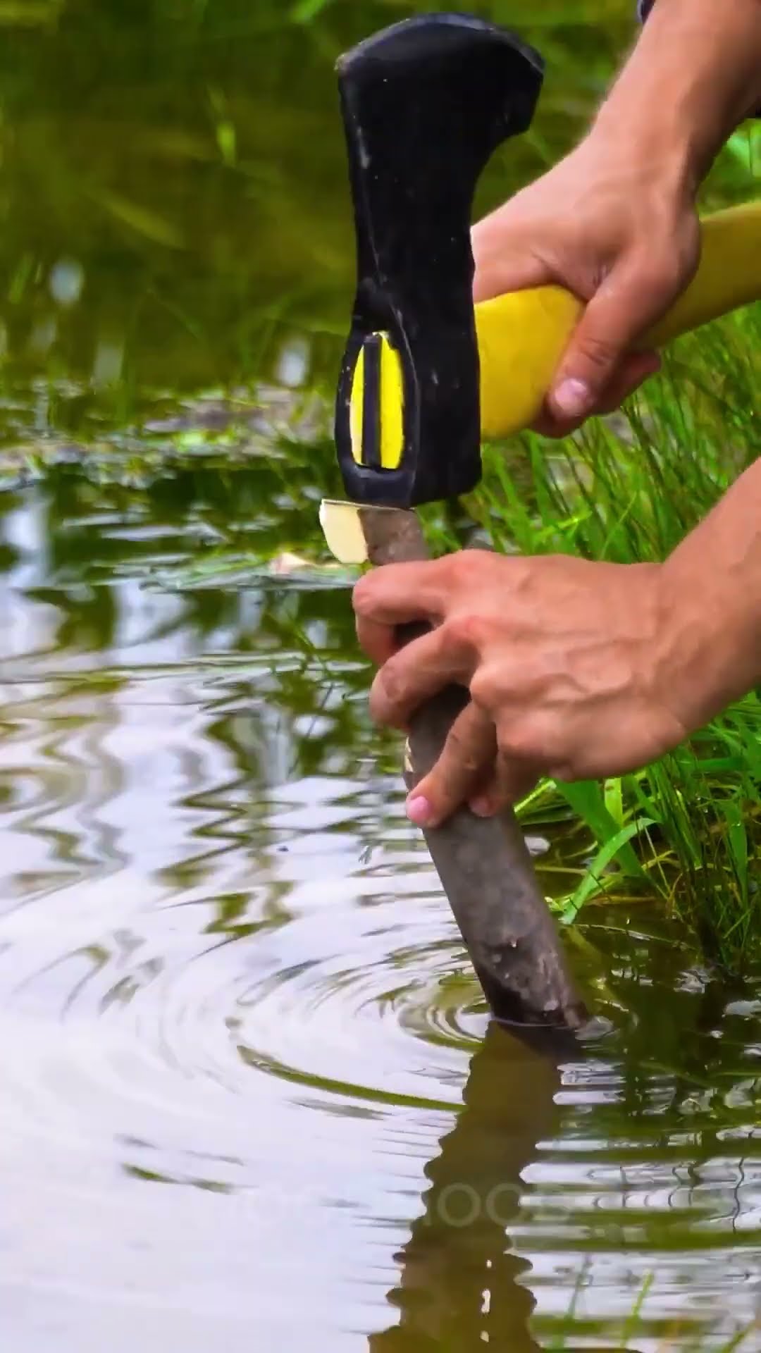 This fishing technique for lazy people is just too good!