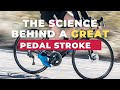 The science behind a great pedal stroke