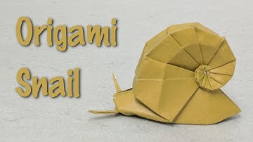 Origami Tutorial: Snail (Shiri Daniel)