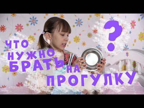 Что нужно взять на прогулку с собакой?