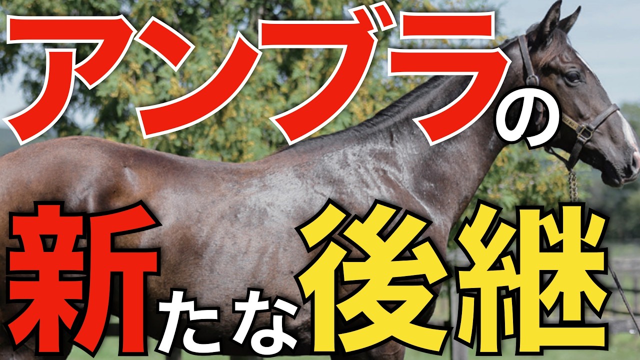 アンブライドルズソングの新たな後継馬！日本競馬との相性を証明できるか