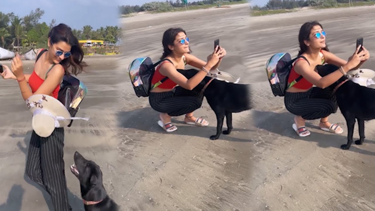 Actress Payal Rajput Playing With Dog ||Actress Rajput Payal Latest Video||Tollywood Nagar