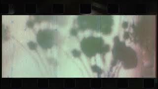 [1hour] Roderick Porter - Baby (feat. Coasting)