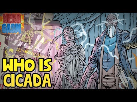 who-is-dc-comic's-cicada?-new-flash-season-5-villain-explained-(nerdgasm-quickie)