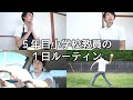 ５年目教員の１日ルーティン【小学校教師】