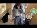 Sub office workday routine vlog  i adopted a cat another productive week wake up at 630