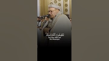 خشوع لا يوصف وأداء متقن برواية ورش لآيات بينات من #سورة_التوبة بصوت القارئ الشيخ #عمر_القزابري