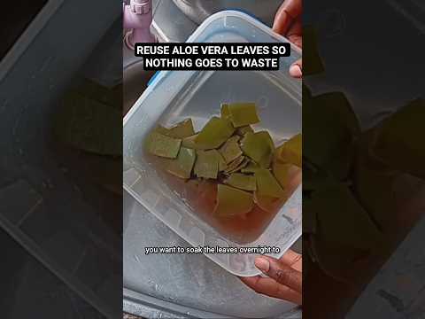 STOP THROWING AWAY YOUR ALOE VERA LEAVES