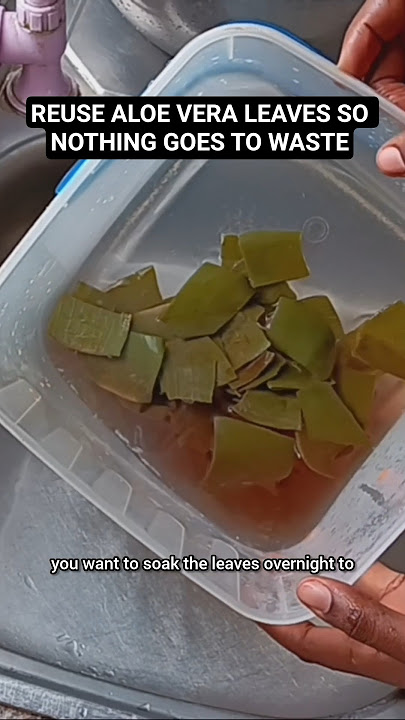 STOP THROWING AWAY YOUR ALOE VERA LEAVES❗️